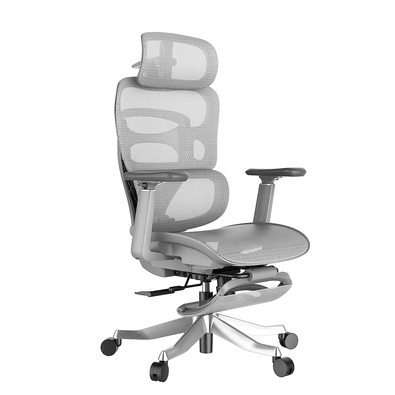 Cadeira De Escritório Ergonômica Sensetup Souldis Mesh Cinza