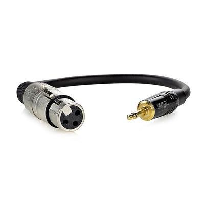 Cabo Xlr Para P2 Áudio Profissional Mono - 30 Cm