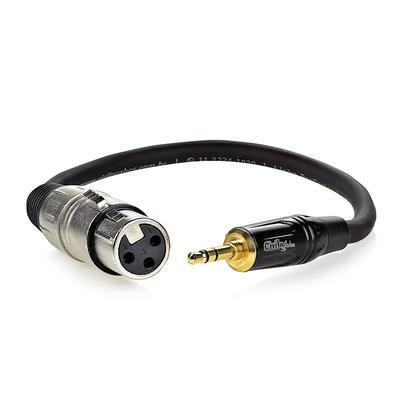 Cabo Xlr Para P2 Áudio Profissional Estereo - 50 Cm