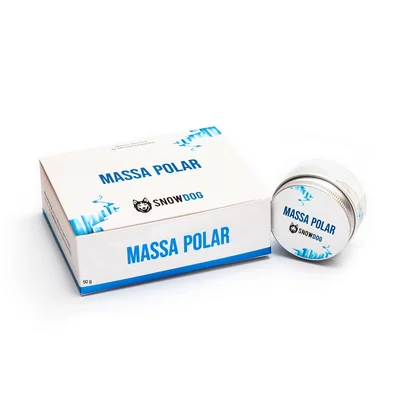 Massa Polar Snowdog 50g + Adesivo Massa Térmica Alta Performance