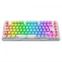 Teclado Gamer Mecânico Redragon Elf Pro, RGB, Wireless/bluetooth, Switch Crystal, Transparent - K649ct-RGB-pro Pt