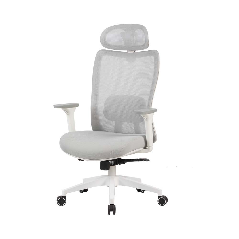 Cadeira Ergonômica Elements Astra Pro  Cinza E Branco