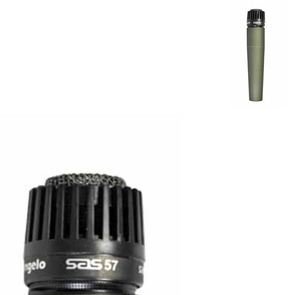 ✨ サンマ✨ 火山灰干し さんま 2枚 【冷凍】 - 島屋のネットショップ｜日本海