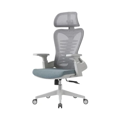 Cadeira Presidente Bio Ergonômica Suporte Lombar Cabeça Ajustável Sistema Relax Para Escritório Home Office e Gamer Cinza