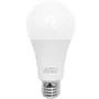 Lâmpada Inteligente RGB 15w Wi-fi, Controle Por App E Voz, Base E27, Economia LED