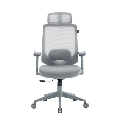 Cadeira De Escritório Presidente X-power Cinza