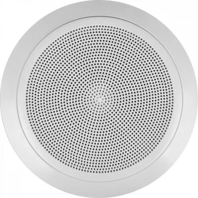 Arandela 6Polegadas Full Range 30w Rms Ar-630 F Hayonik