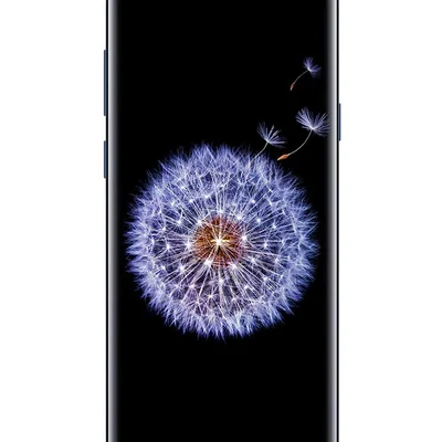 Usado - Samsung Galaxy S9 Plus 128GB Azul Outlet