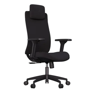 Cadeira De Escritório Ergonômica Elements Roi, Até 120Kg, Preto