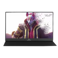 Monitor-Port-til-15-6-Full-Hd-