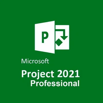 Microsoft Project Professional 2021, Mídia Física