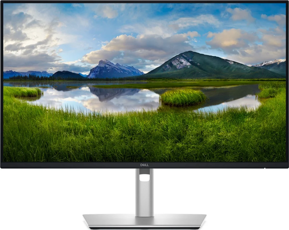 DELL モニター P2425H file.png