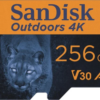 Sandisk - Cartão De Memória Microsdxc Uhs-i 4k 256 Gb Para Ambientes Externos Com Adaptador Sd-sdsqxav-256g-gn6va