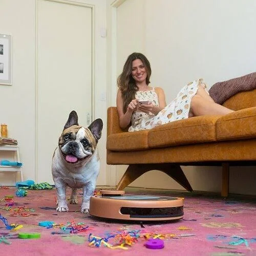 Imagem 3 de 5 do produto Bobsweep - Robô Aspirador E Esfregão Conectado Por Wi-fi Pethair Appetite - Thai Tea-app220022