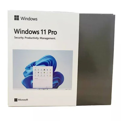 WINDOWS 11 Professional - Fpp - Produto Fisico - Vitalicio