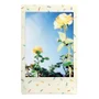 Filme Instantâneo Fujifilm Instax Mini Sprinkles (10 Fotos)