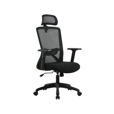 Cadeira De Escritório Ergonômica Nr17 Presidente Premium Dallas Office Cor:preto