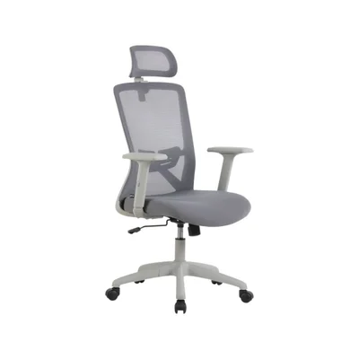 Cadeira De Escritório Ergonômica Nr17 Presidente Premium Dallas Office Cor:cinza.