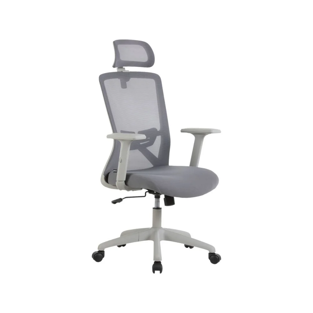 Cadeira De Escritório Ergonômica Nr17 Presidente Premium Dallas Office Cor:cinza.