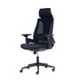 Cadeira De Escritório Ergonômica Nr17 Giratória Office ToLEDo Com Encosto E Braços 3d Rivatti Cor:preto