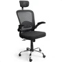 Cadeira De Escritorio Presidente Giratória Ergonômica Mesh