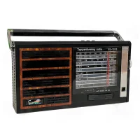 DO-10 INNI A5146 AM-FMラジオ Design Analógico, Sintonizador Portátil AM/FM Bolso de Rádio Mini ラジオ・コンポ