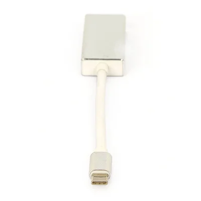Cabo Adaptador Usb-c Para Displayport Dourado Dourado