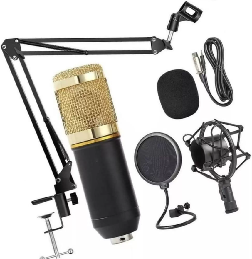 Microfone Condensador Bm-800 Profissional Para Gravação Estudio Instrumentos Live