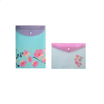 2 Pastas Molin Organizadores Flowers Select 24x33 E 24x1