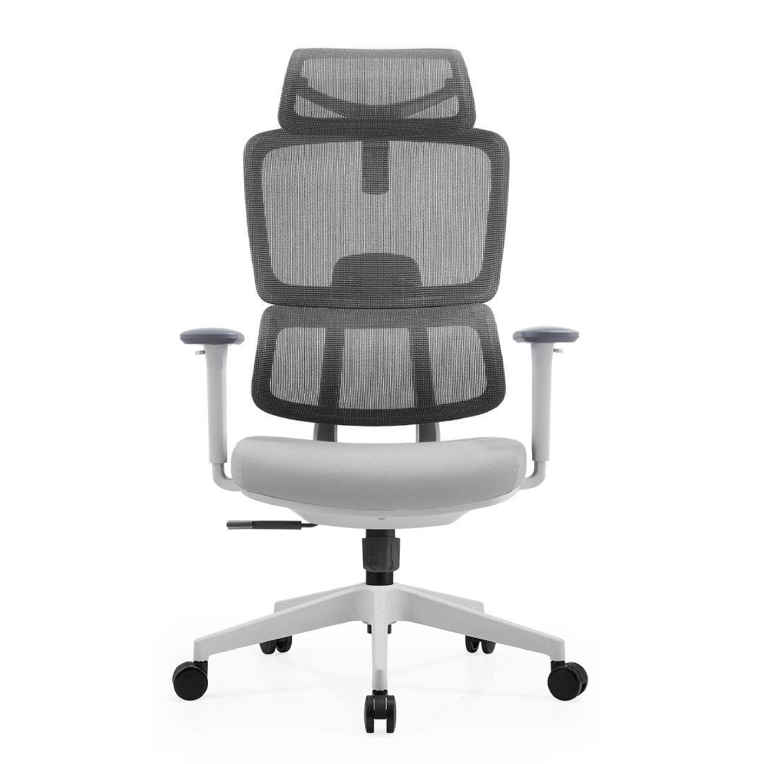 Cadeira De Escritório Ergonômica Aurove 186a Edge Cinza
