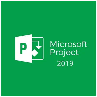 Microsoft Project Professional 2019