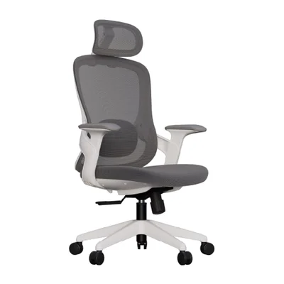 Cadeira Escritório Ergonômica Confortável Elements Alasia Certificado Nr17 - Cinza