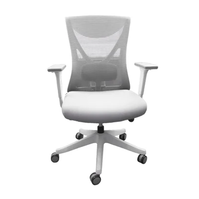 Cadeira Ergonômica Escritório Giratória Com Suporte Lombar Home Office