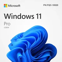 Microsoft-Windows-11-Pro-64-