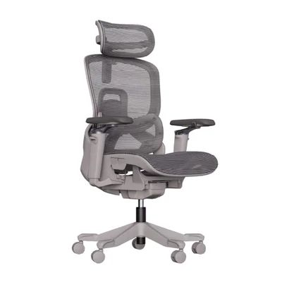 Cadeira De Escritório Ergonomica Premium Aniara Com Revestimento Em Mesh, Braços 5d, Apoio Lombar E Cabeça, Rodas Anti Risco - Cinza
