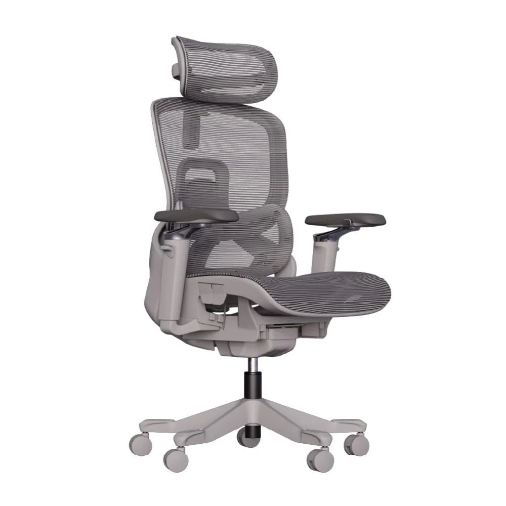 Cadeira De Escritório Ergonomica Premium Aniara Com Revestimento Em Mesh, Braços 5d, Apoio Lombar E Cabeça, Rodas Anti Risco - Cinza