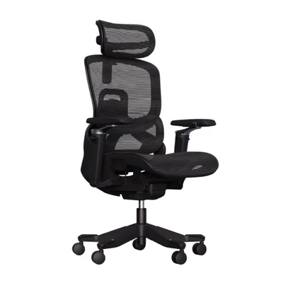 Cadeira De Escritório Ergonomica Premium Aniara Com Revestimento Em Mesh, Braços 5d, Apoio Lombar E Cabeça, Rodas Anti Risco - Preto