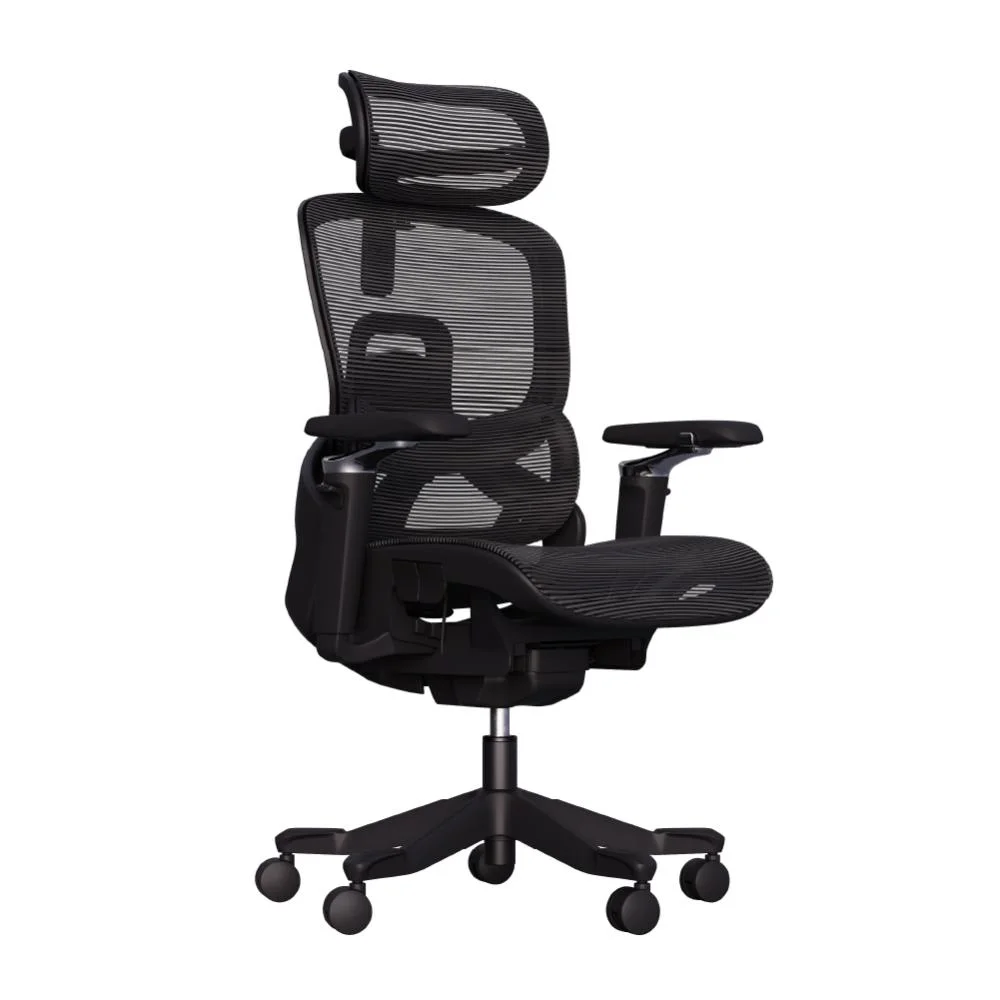 Cadeira De Escritório Ergonomica Premium Aniara Com Revestimento Em Mesh, Braços 5d, Apoio Lombar E Cabeça, Rodas Anti Risco - Preto