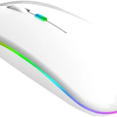 Mouse Sem Fio Recarregável Wireless Óptico LED RGB Ergonômico Usb 2.4 Ghz Bluetooth Notebook Computador PC Desktop